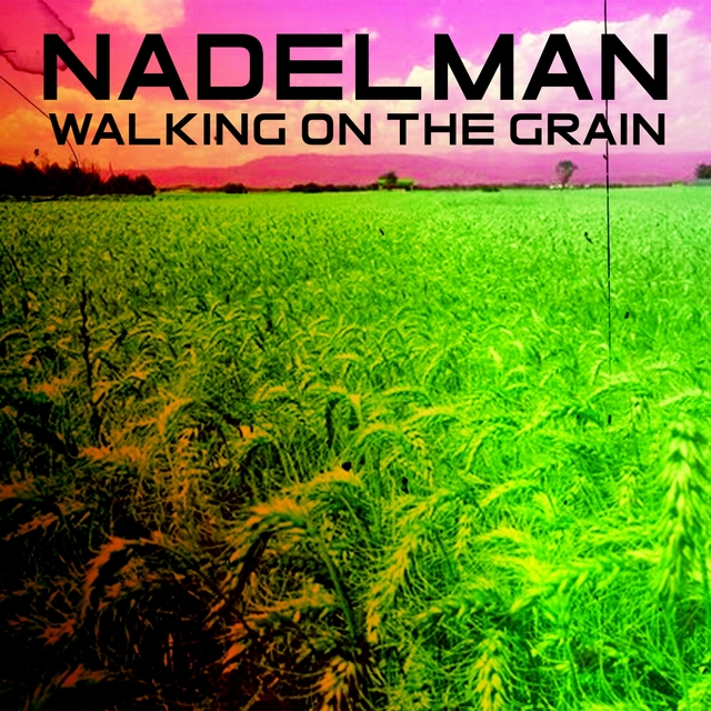 Couverture de Walking On The Grain