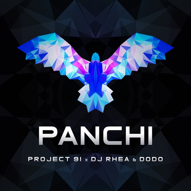 Couverture de Panchi