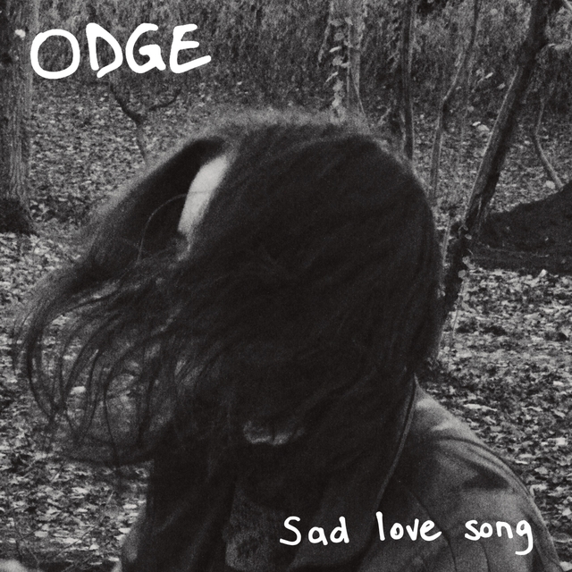 Couverture de Sad Love Song