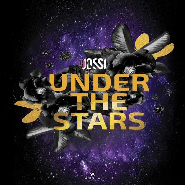 Couverture de Under the Stars