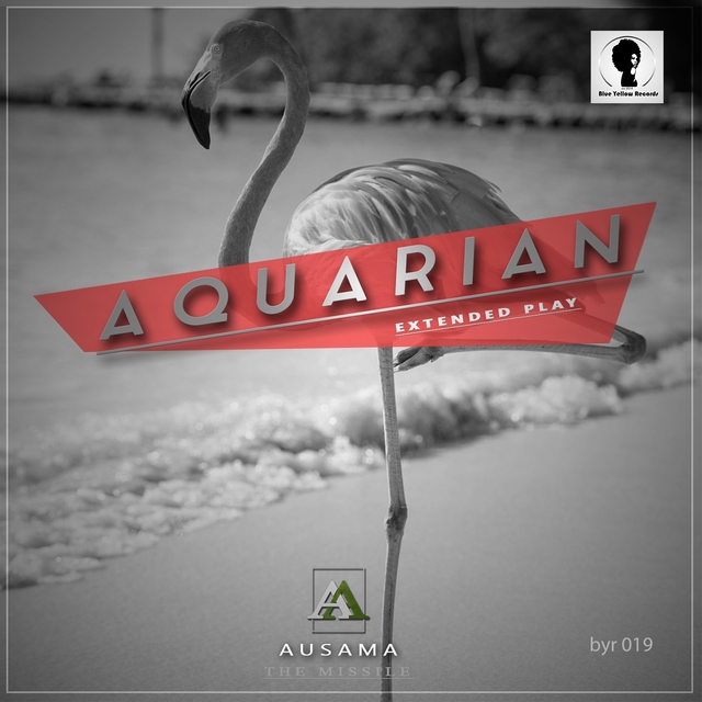 Couverture de Aquarian