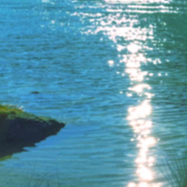 Images. Prèmiere Série, L. 110: I. Reflets dans l'eau