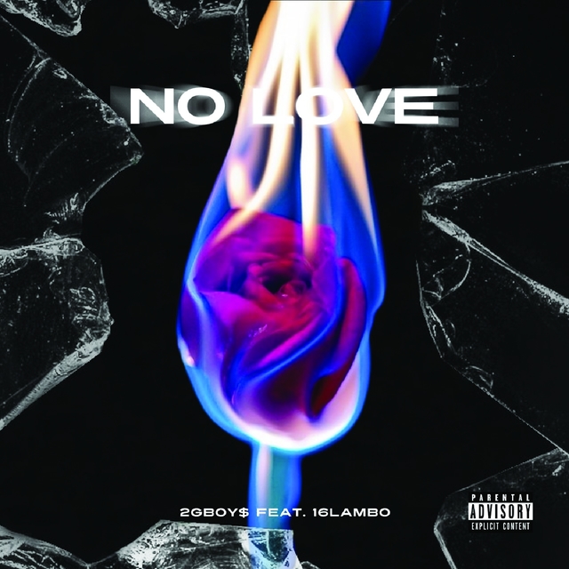 Couverture de No love