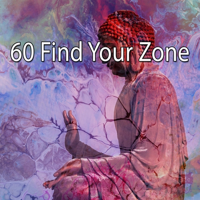 Couverture de 60 Find Your Zone