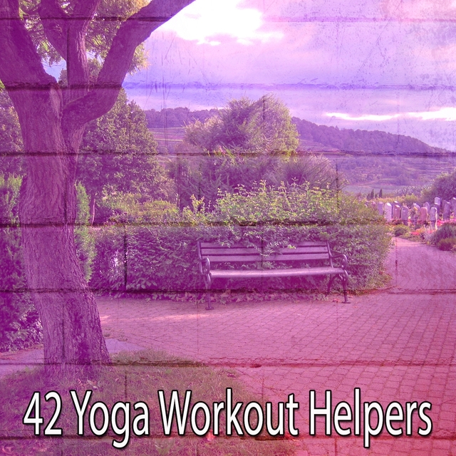 Couverture de 42 Yoga Workout Helpers