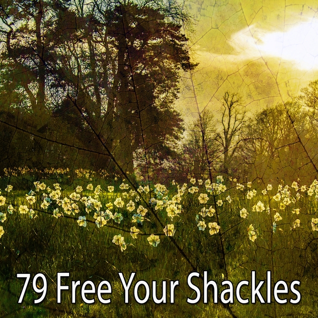 79 Free Your Shackles