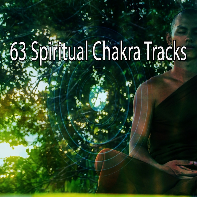 Couverture de 63 Spiritual Chakra Tracks