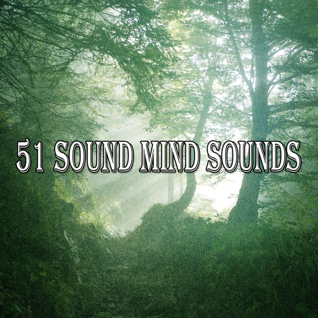 Couverture de 51 Sound Mind Sounds