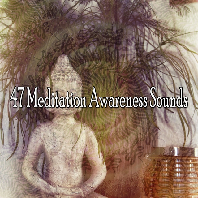 Couverture de 47 Meditation Awareness Sounds