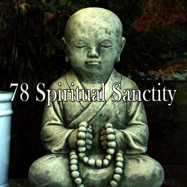 Couverture de 78 Spiritual Sanctity