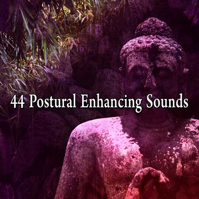 Couverture de 44 Postural Enhancing Sounds