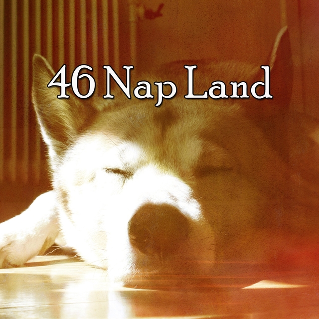 46 Nap Land