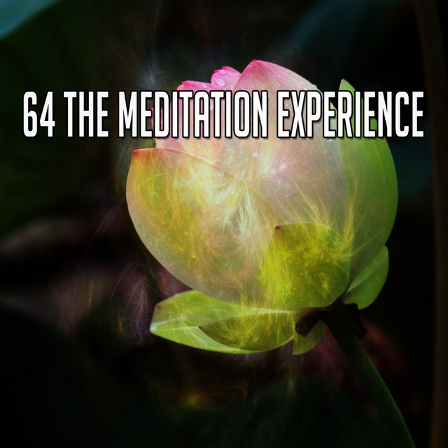 Couverture de 64 The Meditation Experience