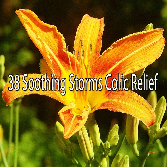 38 Soothing Storms Colic Relief