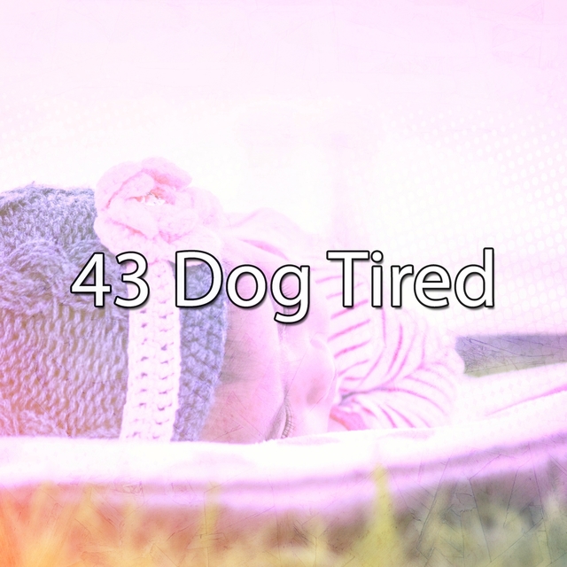 Couverture de 43 Dog Tired