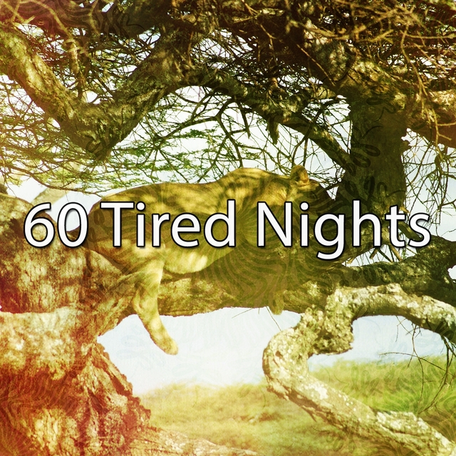 Couverture de 60 Tired Nights