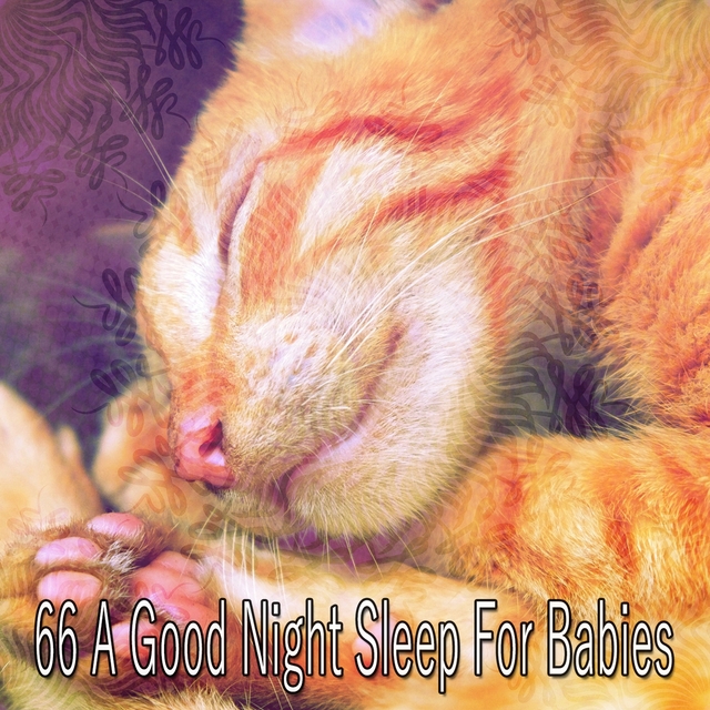 Couverture de 66 A Good Night Sleep for Babies