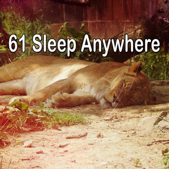 61 Sleep Anywhere