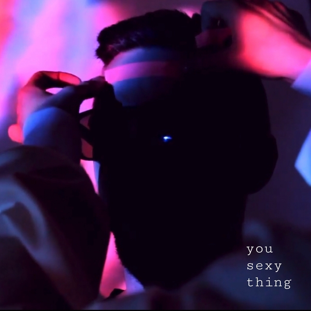 Couverture de You Sexy Thing