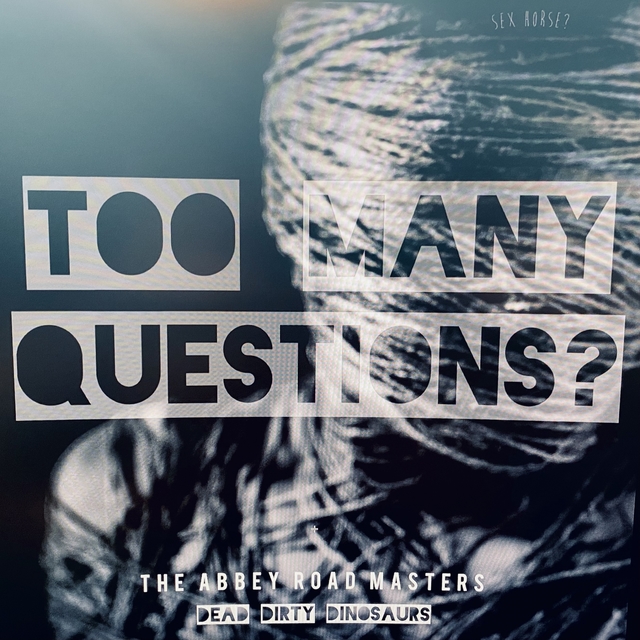 Couverture de Too Many Questions: The Abbey Road Masters