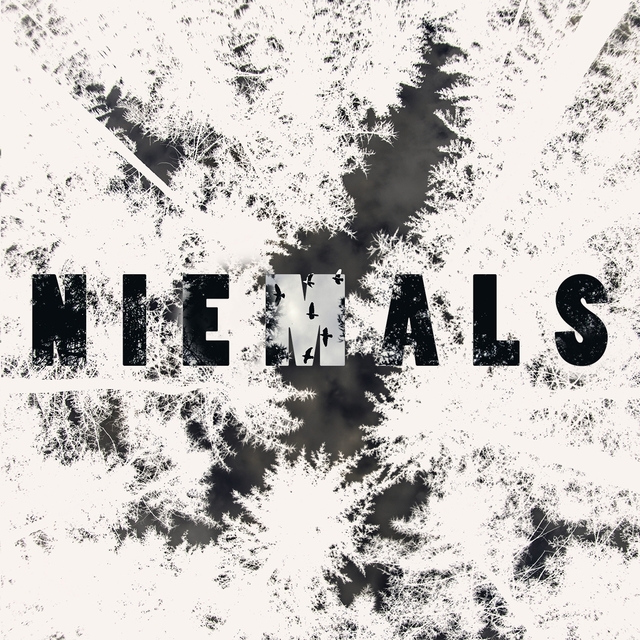 Niemals