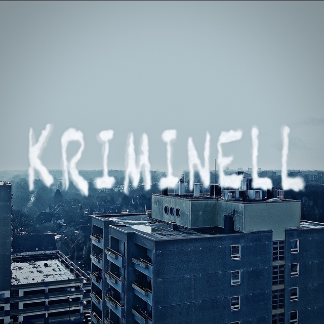 Couverture de Kriminell (Mama ich bin kriminell)