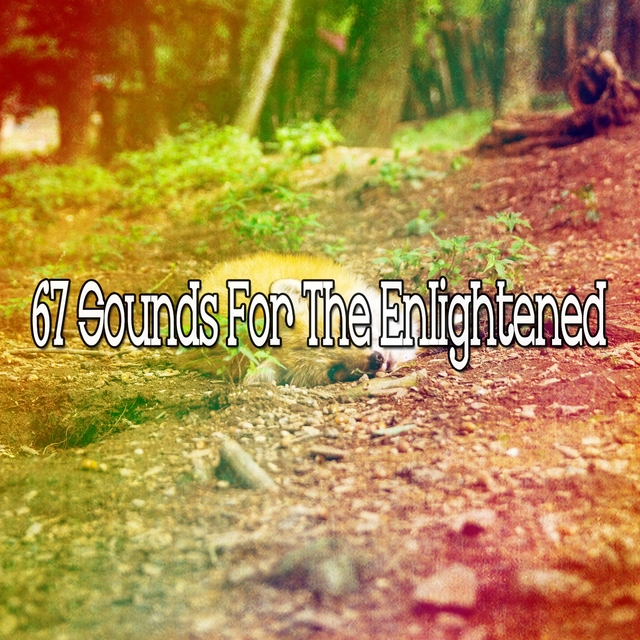 Couverture de 67 Sounds for the Enlightened