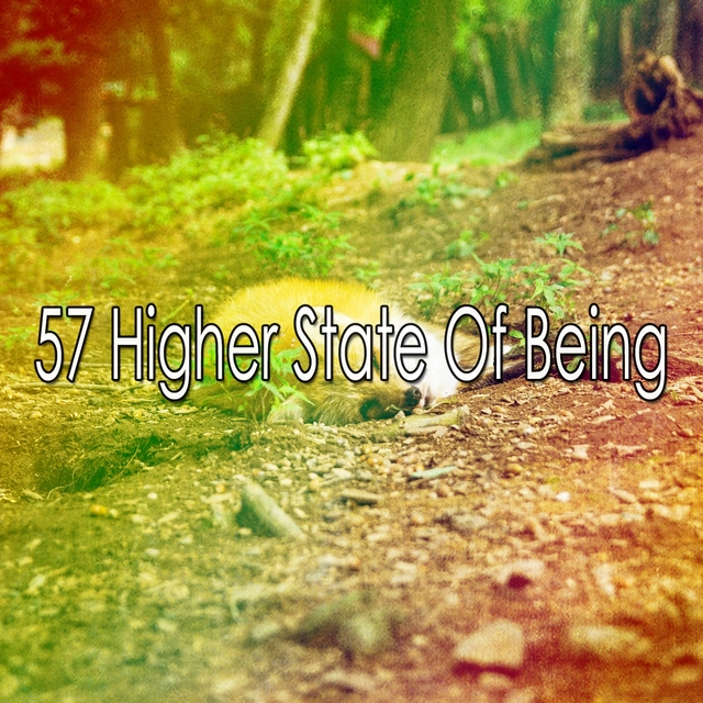 57 Higher State of Being