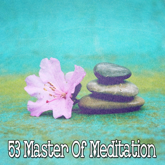 53 Master of Meditation