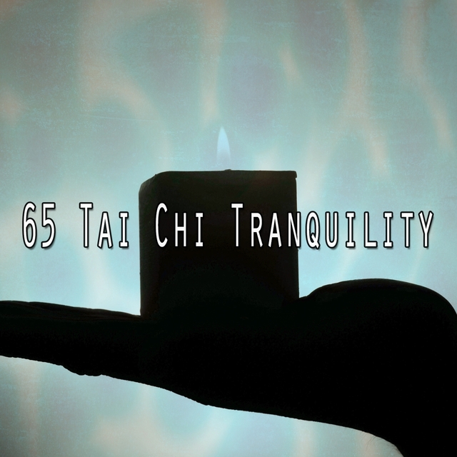 65 Tai Chi Tranquility