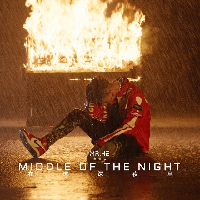 Couverture de Middle Of The Night