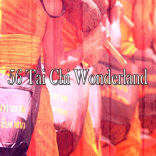 56 Tai Chi Wonderland