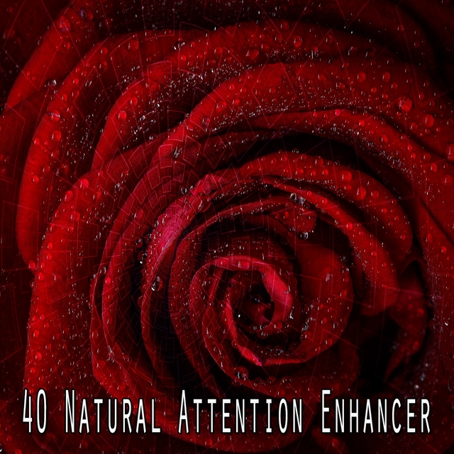 40 Natural Attention Enhancer