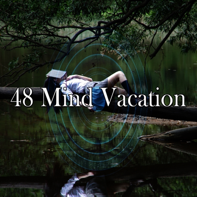 48 Mind Vacation