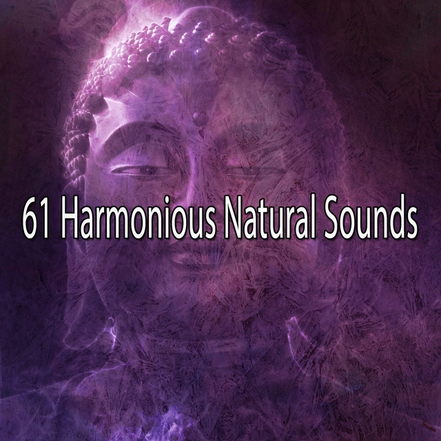 61 Harmonious Natural Sounds