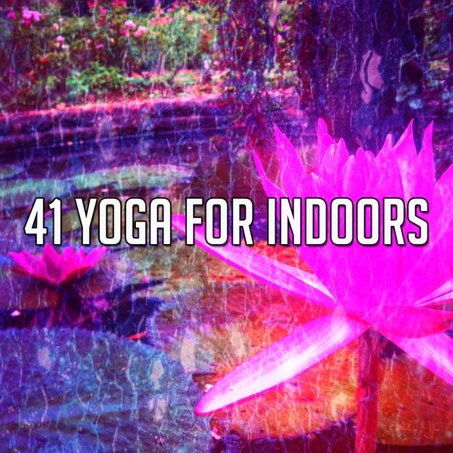 41 Yoga for Indoors