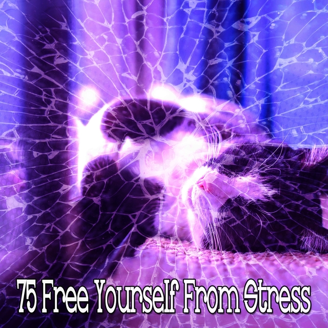 Couverture de 75 Free Yourself from Stress