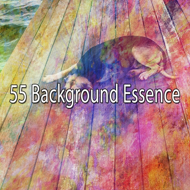 Couverture de 55 Background Essence