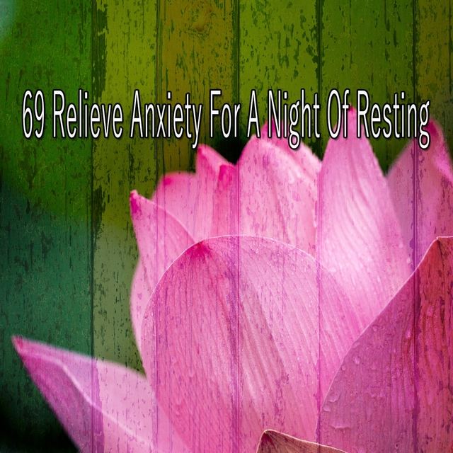 69 Relieve Anxiety for a Night of Resting