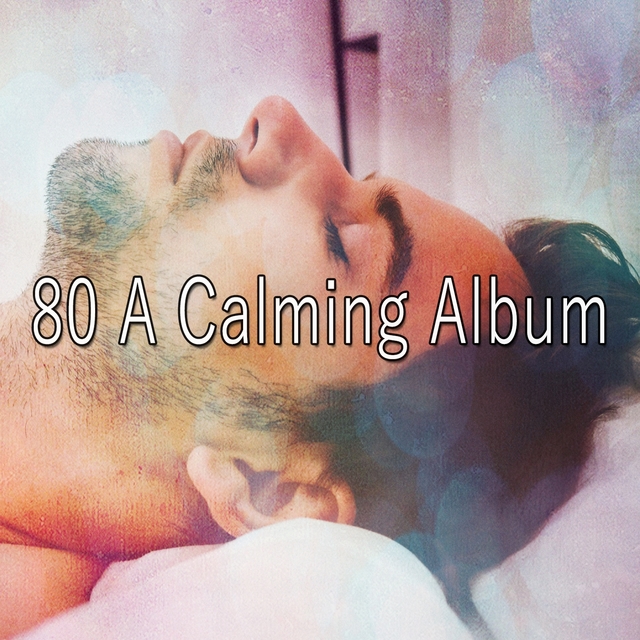 Couverture de 80 A Calming Album