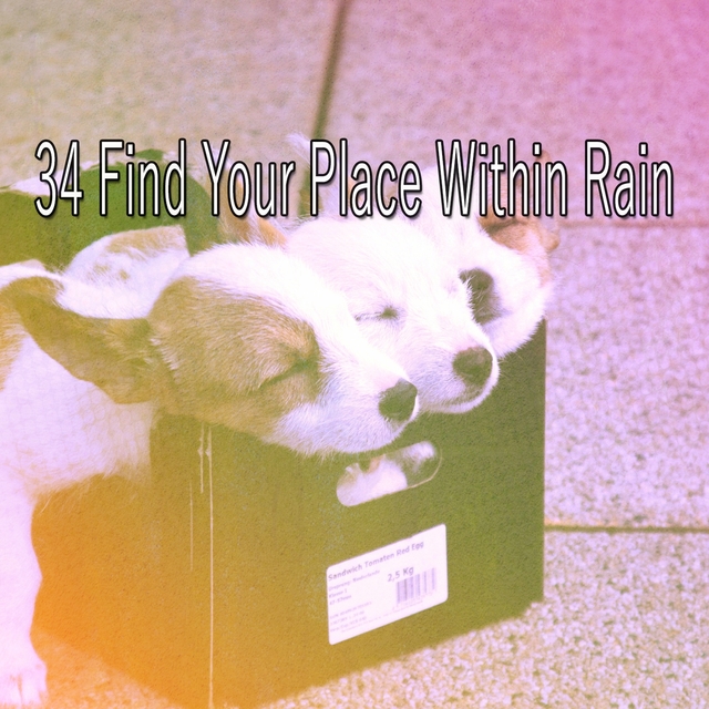 Couverture de 34 Find Your Place Within Rain