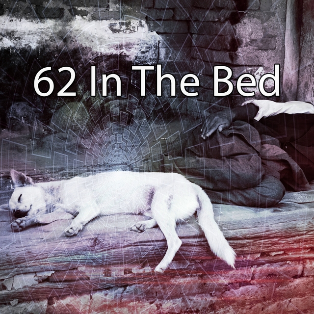 62 In the Bed