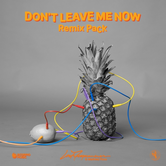 Couverture de Don't Leave Me Now