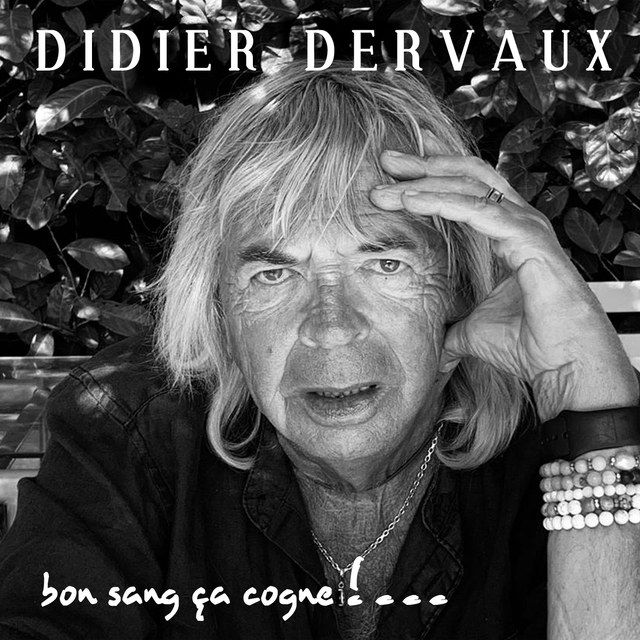 Couverture de Bon sang ça cogne !