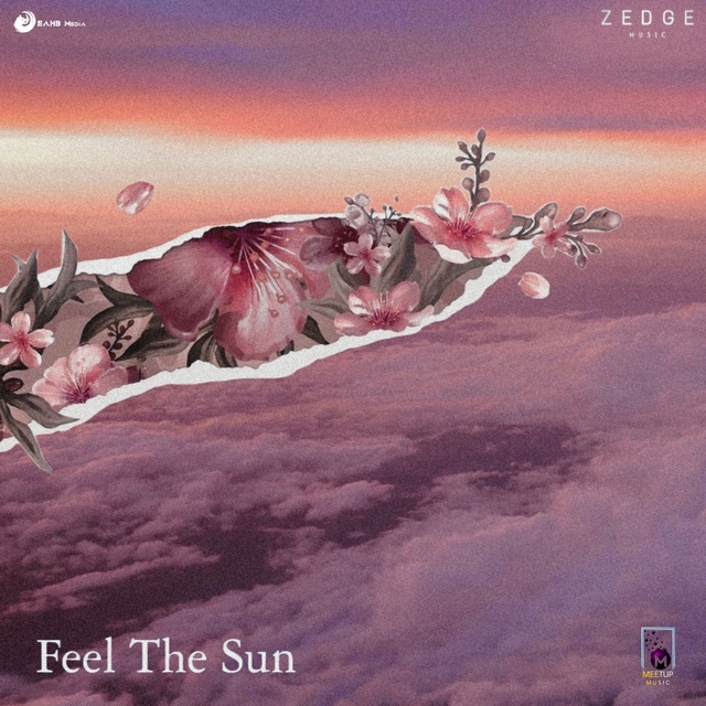 Couverture de Feel The Sun