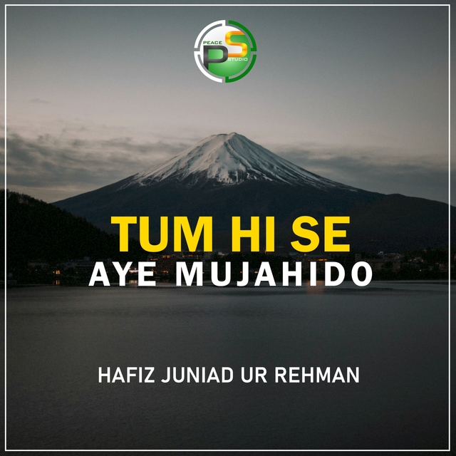 Couverture de Tum Hi Se Aye Mujahido