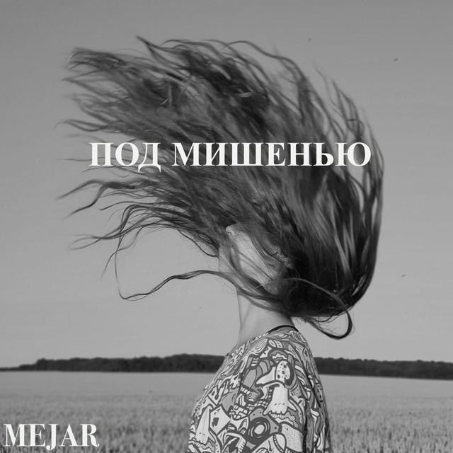 Под Мишенью