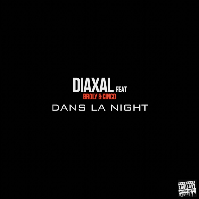 Couverture de Dans la night