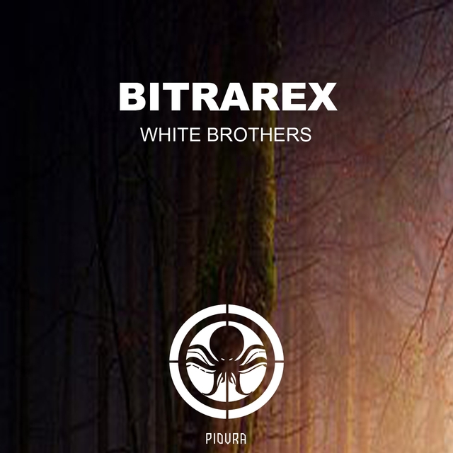 Couverture de White Brothers