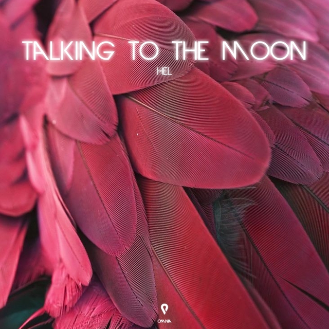 Couverture de Talking to the Moon